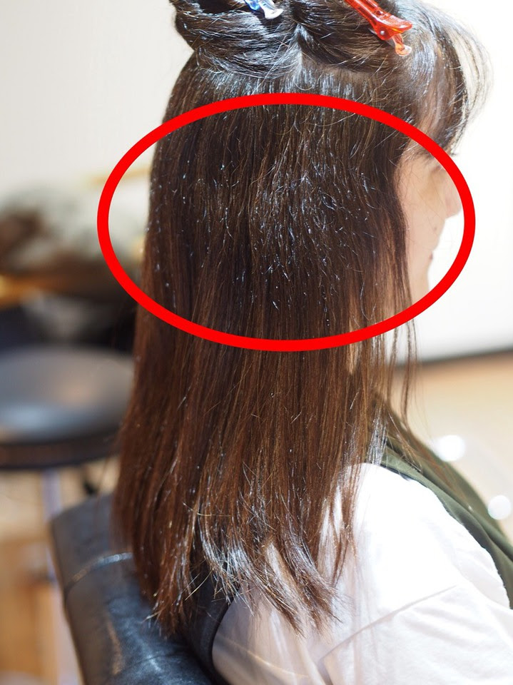 加齢によるチリチリ 縮毛矯正で40代のお悩み解消 ブログ 練馬の縮毛矯正に強い美容院 Liber リベル 石神井公園駅近のプライベートヘアサロン