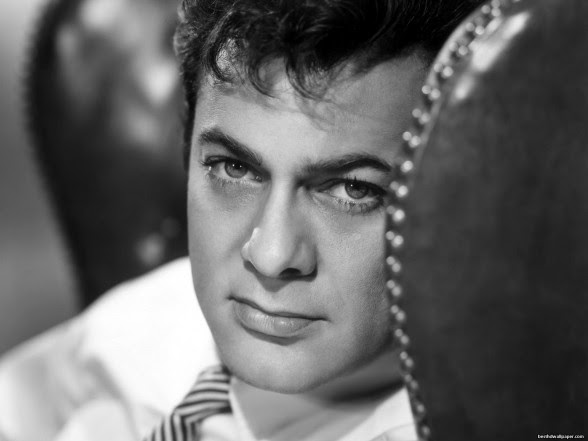 Tony Curtis images Tony Curtis wallpaper and background photos 
