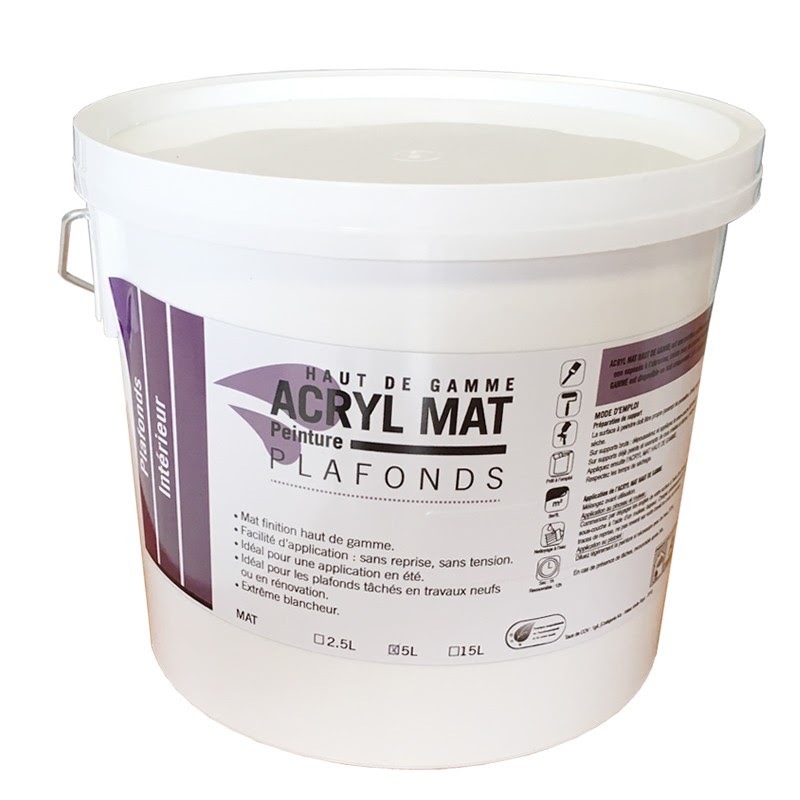 Inspirasi Peinture Plafond, Plafon Minimalis