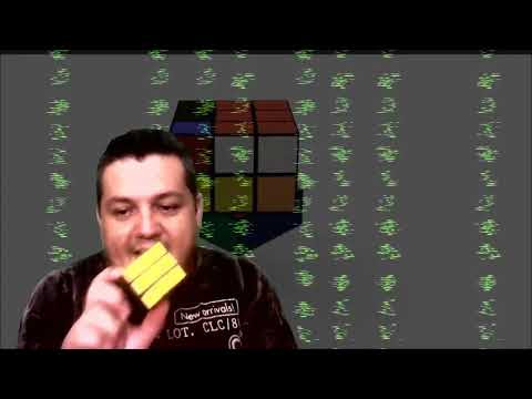 Visão Sistêmica e Visão Holística