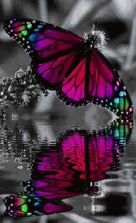 La mariposilla photo lamariposa.gif