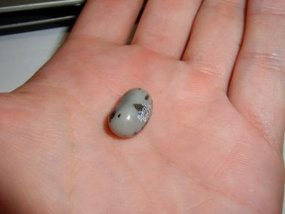 ほとんどのダウンロード グレー の 食べ物