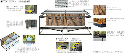 イメージ