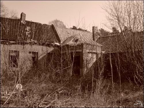 Photo ombre lumiere sepia douce folie