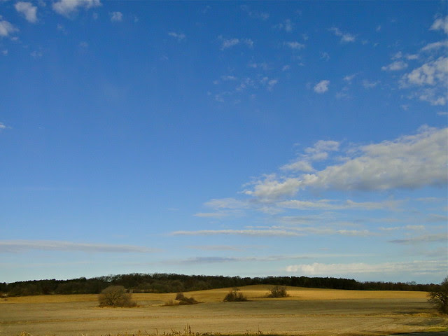 DSC09585