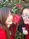 flower.jpg