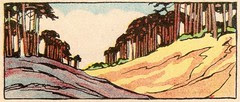 dunes