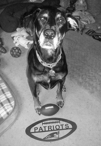 Lola_11313BW