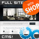 inFocus - Powerful Professional Template w/ E-Shop