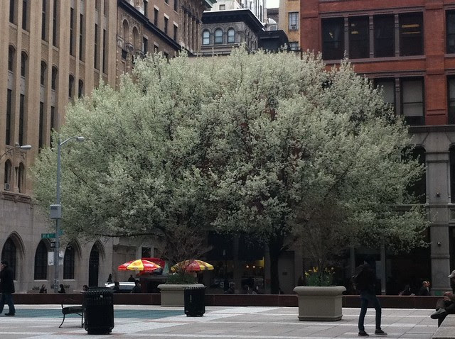 April in New York