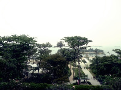 P1010904