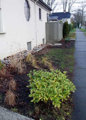 Yard Privacy Ideas