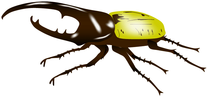 カブトムシ 困ったときの 私のメモ帳 楽天ブログ