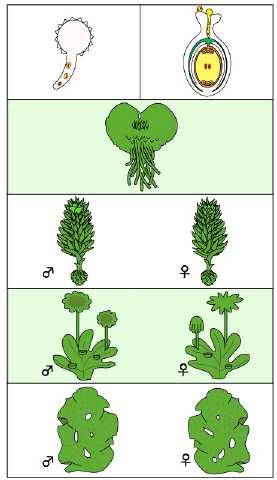 高校生物 系統と分類