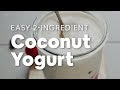 EASY 2-INGREDIENT COCONUT YOGURT