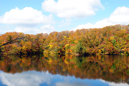 十二湖の紅葉 何の写真 田舎が見える
