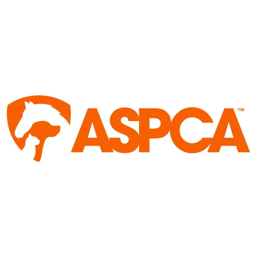 Adoptable Dogs Nyc Adoption Center Aspca