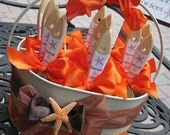 Wedding Beach Pail of Sand Brushes for Beach Weddings