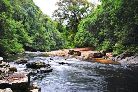 taman negara kuala tahan pahang