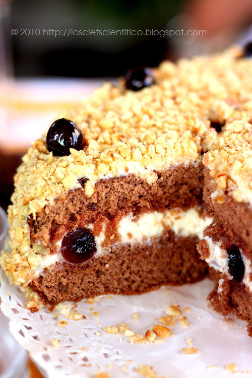 Sour Black Cherry Cake