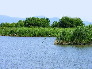 時代劇の風景 ロケ地探訪 近江八幡 水郷
