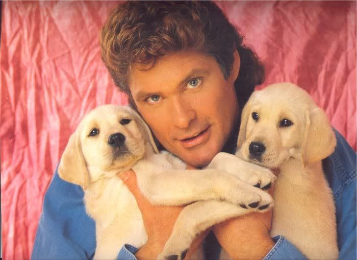 Photo of David Hasselhoff mullet hairstyle