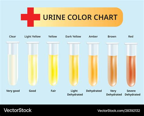  free 8 sample urine color chart templates in pdf ms word free 8