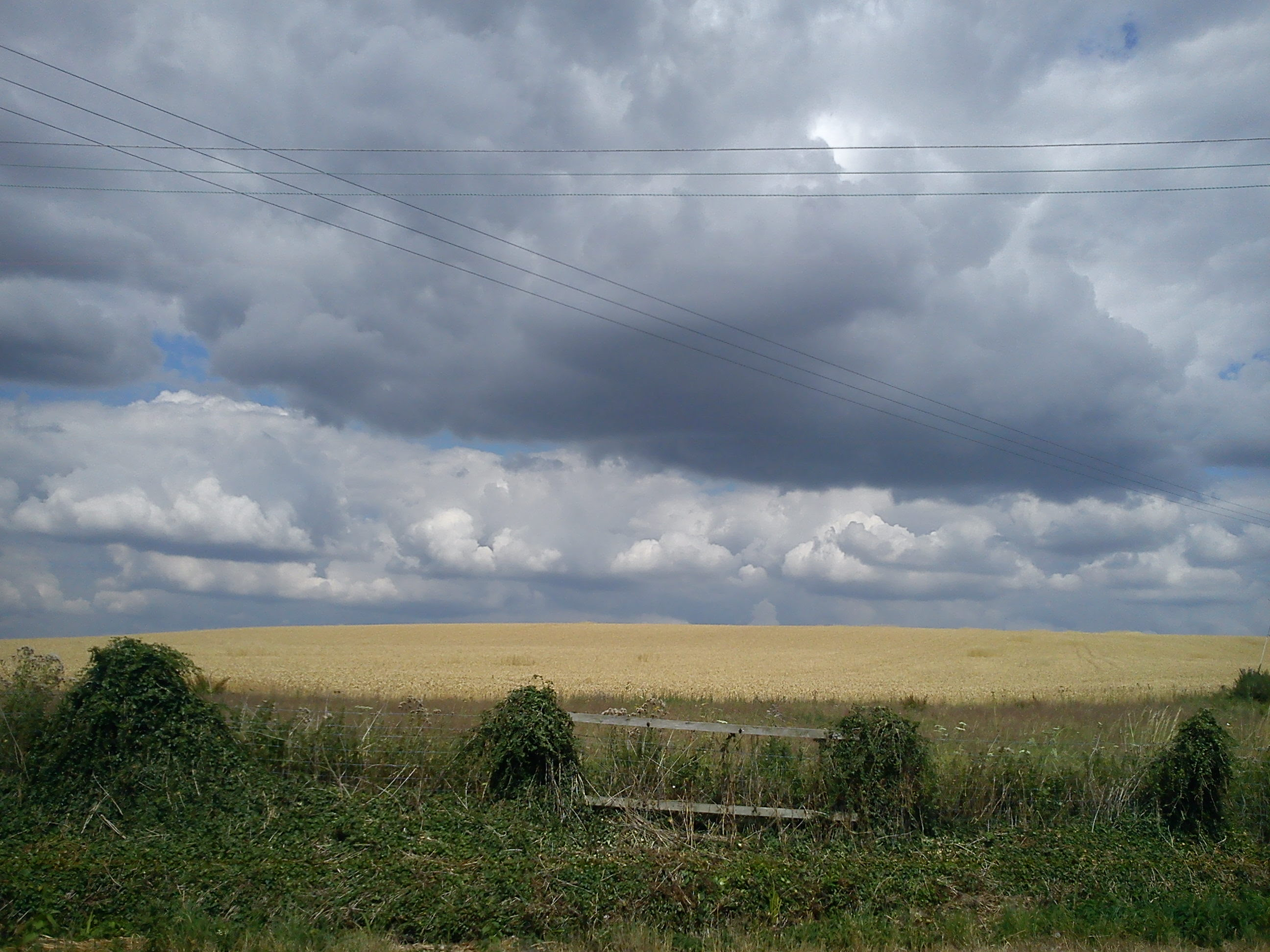 puppy rock hotel and spa