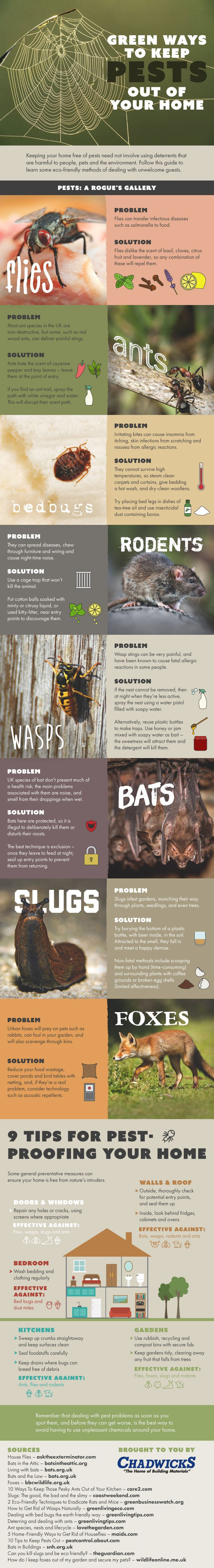 Infographic: Green Ways to Keep Pests Out of your Home