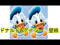 [新しいコレクション] かわいい ディズニー ドナルド イラスト 207916