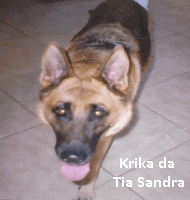 Krika da tia Sandra