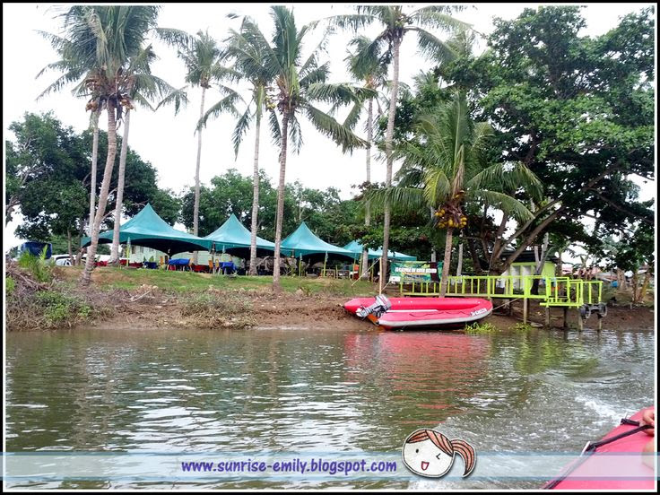 Proboscis Monkey River Cruise Tour @ Le Cruise De Kota Belud