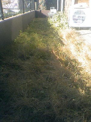 ウッドチップの施工方法と手順