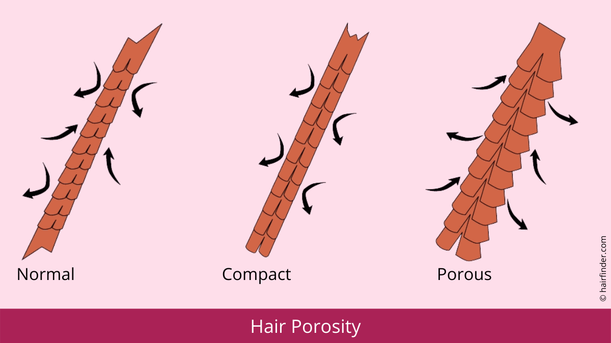 Hair Porosity and how to determine or measure the porosity ...