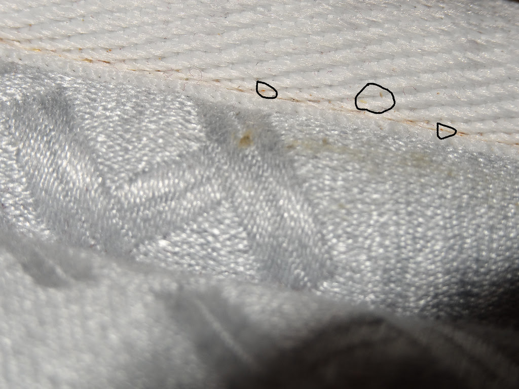 Bed Bug Egg 8101461787_b9bc521f89_b.jpg