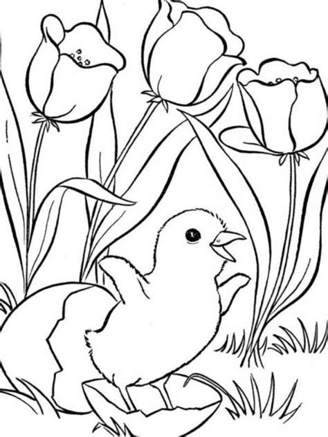 spring coloring pages printable spring coloring pages