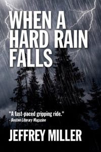 When a Hard Rain Falls by Jeffrey Miller