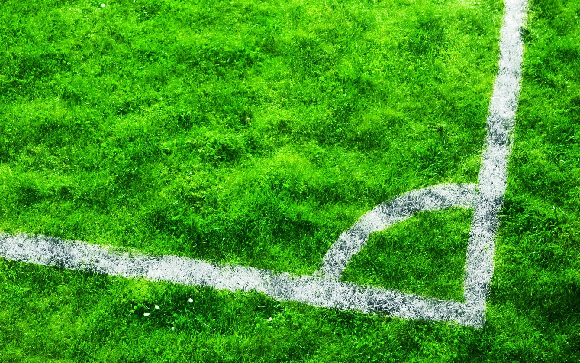 無料写真素材 スポーツ 球技 サッカー 緑色 グリーン 芝生画像素材なら 無料 フリー写真素材のフリーフォト