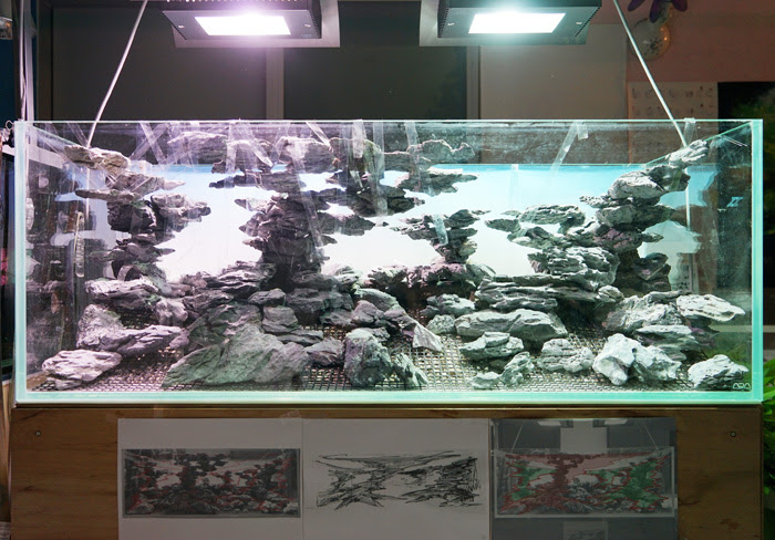 世界ランク14位の水草水槽のつくり方 ステップ2 京都精華大学水槽学部