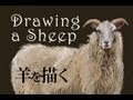 羊 イラスト リアル 120977-�� イラスト リアル
