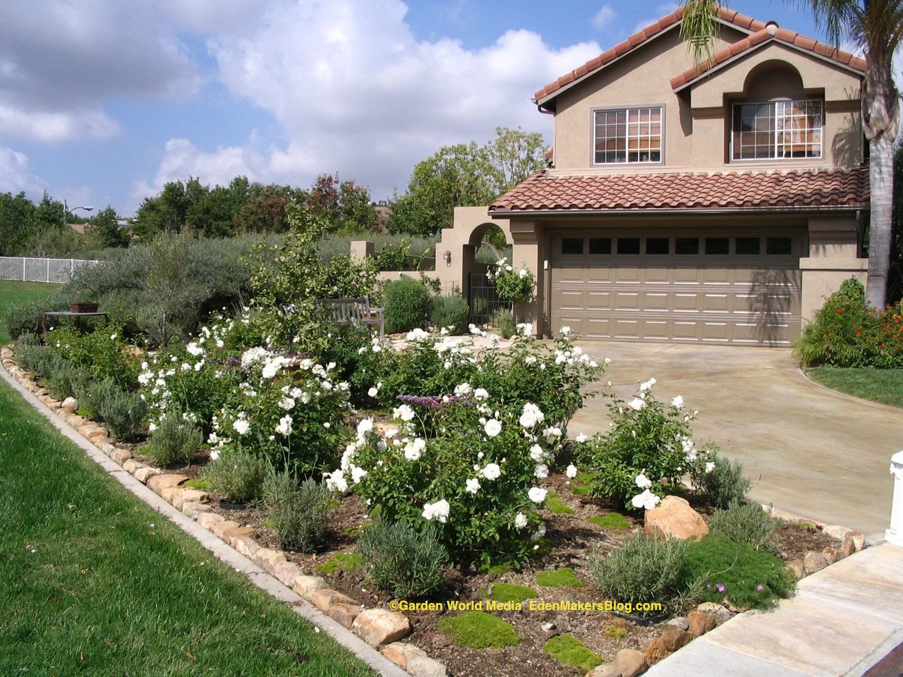 Ideas for Front Yard Landscaping No Grass