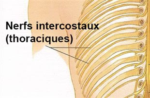 Intercostalgie ou Nvralgie intercostale: les douleurs
