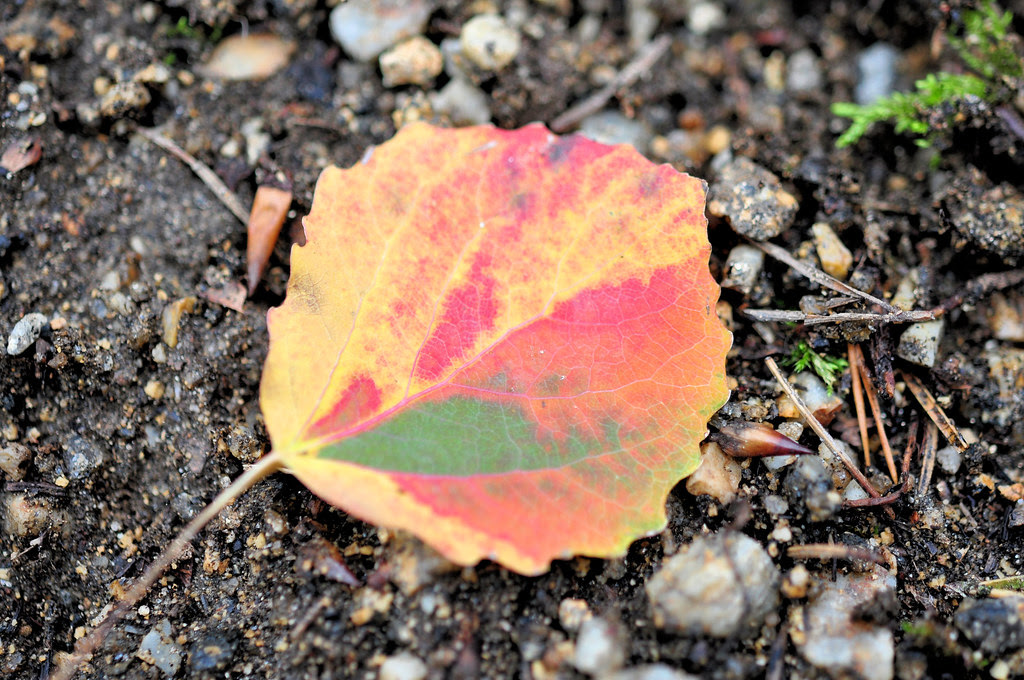 20111030_163