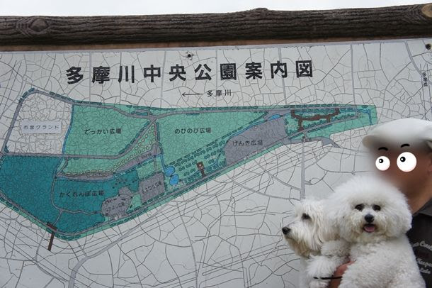多摩川中央公園で おにいちゃんになれるかな Oninare