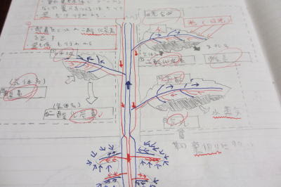 理科のノート