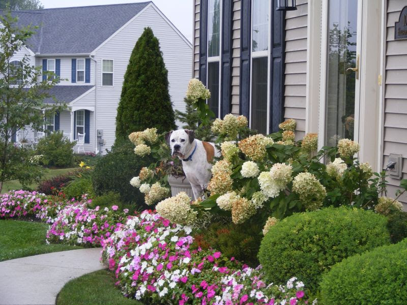 Landscaping Ideas 201207