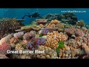 Hot Tempat Wisata di Australia yang Terkenal, paling dicari!