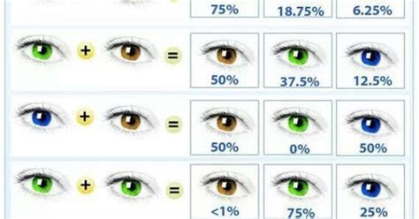 Wondering what color eyes will they have? baby eye color chart grandbabies pinterest charts my mom and