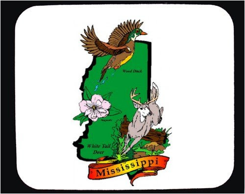 Seng Nduwe Ngamuk: mississippi state flower and bird