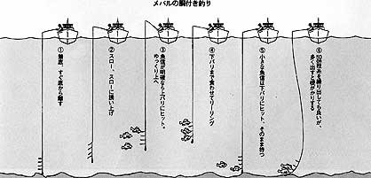 東京湾展望台 今月の名人 10 2月